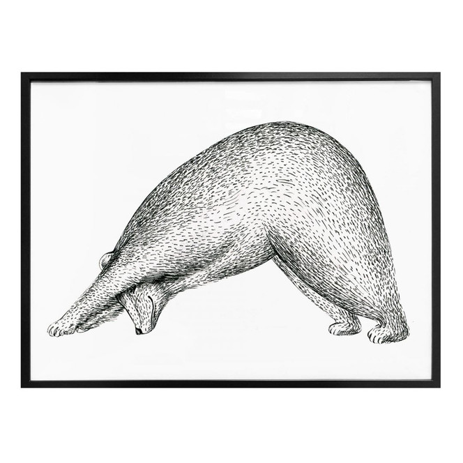 Poster Kvilis - Yoga Bär 01