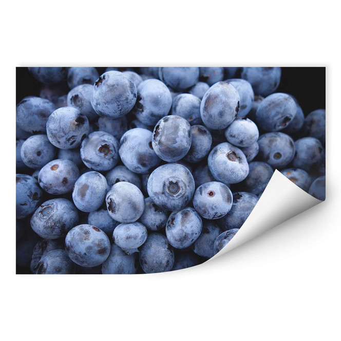 Wallprint Blaubeeren