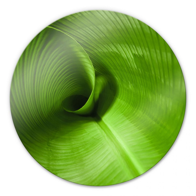 Glasbild Bananenblatt - rund