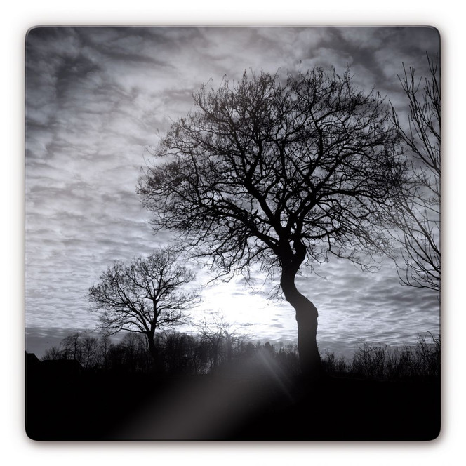 Glasbild Black and White Sunset