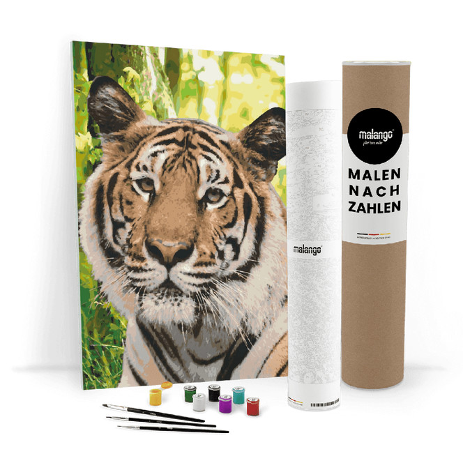Malen nach Zahlen Leinwandbild - Tiger im Dschungel