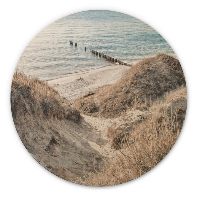 Holzbild Naturerlebnis in malerischen Ostseedünen - Rund