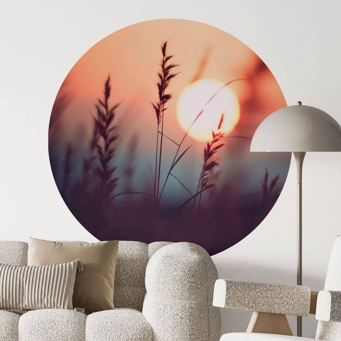 Natur Wandtattoo Gräser im Licht der glühenden Sonne - Treechild - Rund