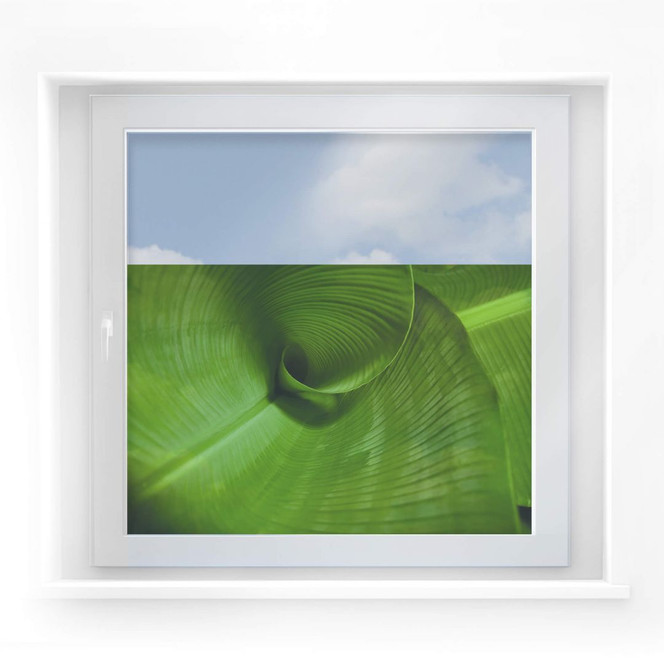Fensterbild Bananenblatt