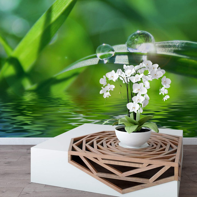 Fototapete Natur 6 - 192x260cm - Bild 1