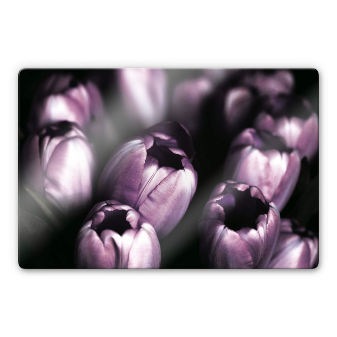 Glasbild Tulips
