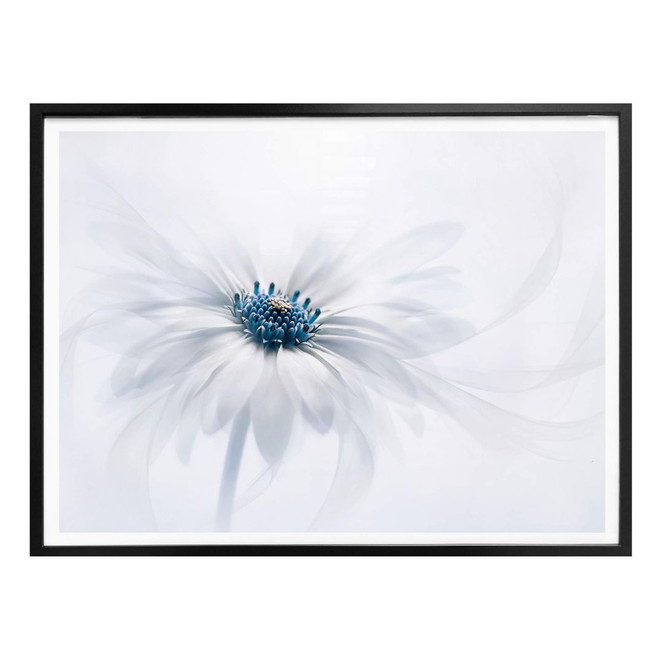 Poster Parker - Frozen Flower