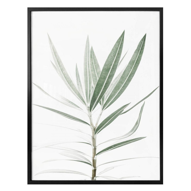 Poster Sisi & Seb - Oleander