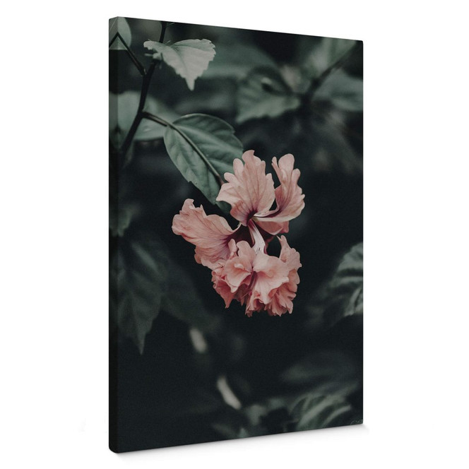 Leinwandbild Tropische Blüte