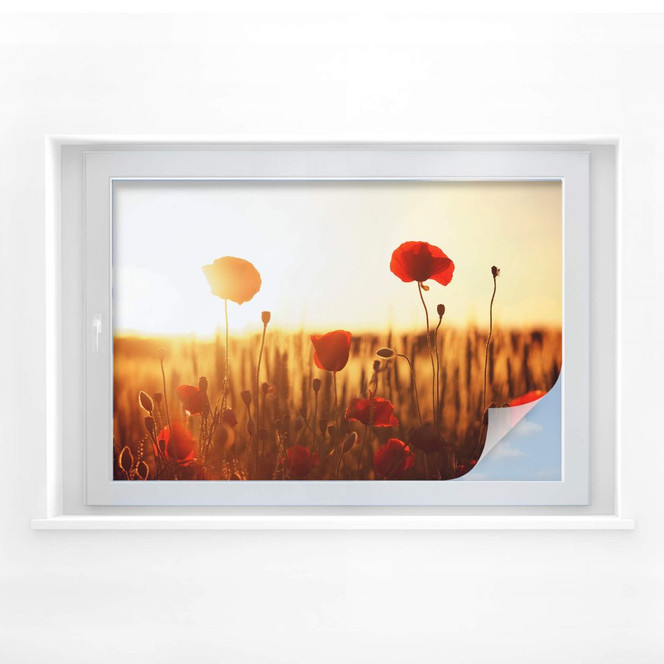 Sichtschutzfolie Sonnenflut im Mohnfeld