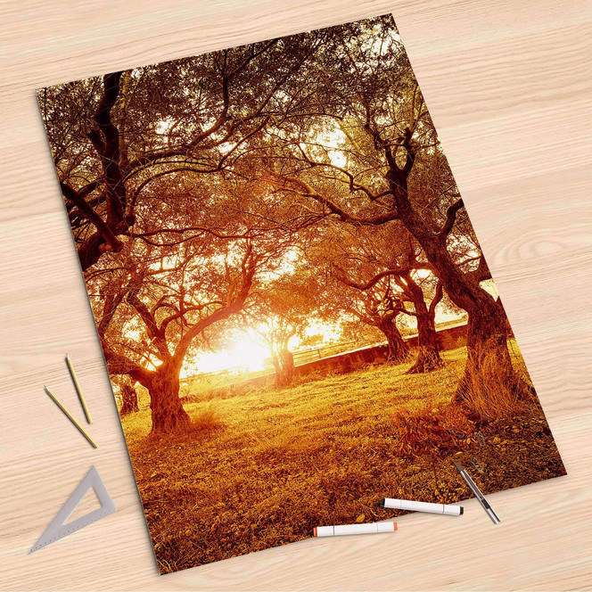 Folienbogen (80x120cm) - Tree Sunlight- Bild 1