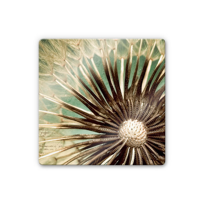 Glasbild Pusteblumen-Poesie - quadratisch