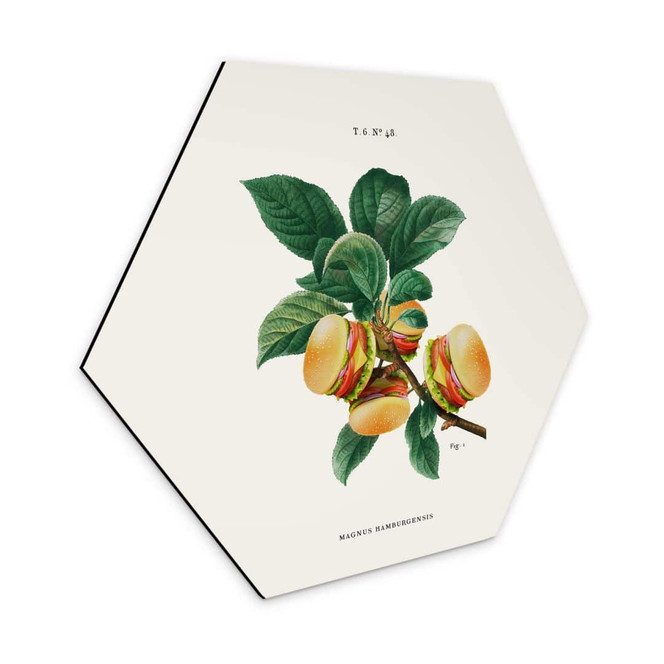 Hexagon - Alu-Dibond Loose - Burger Pflanze