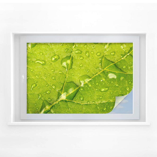 Sichtschutzfolie Wasserperlen