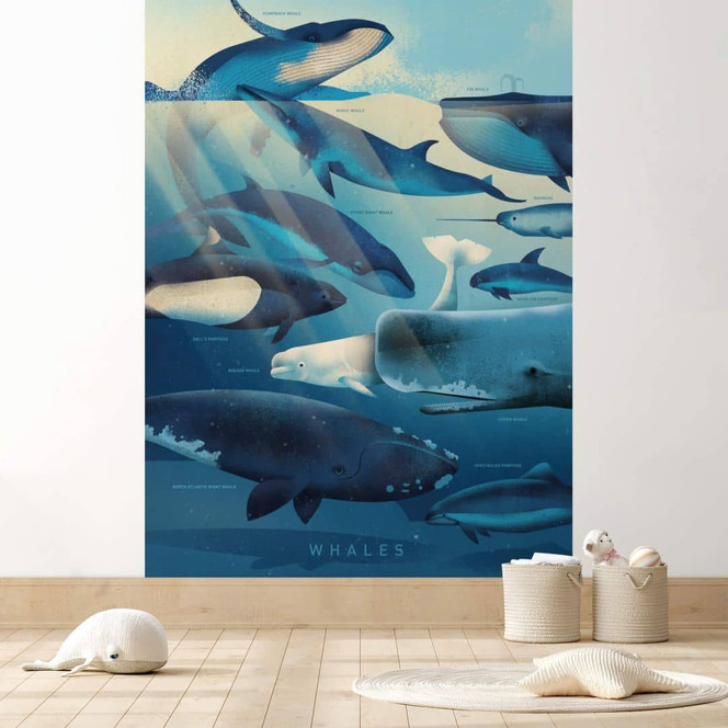 Fototapete Braun - Whales