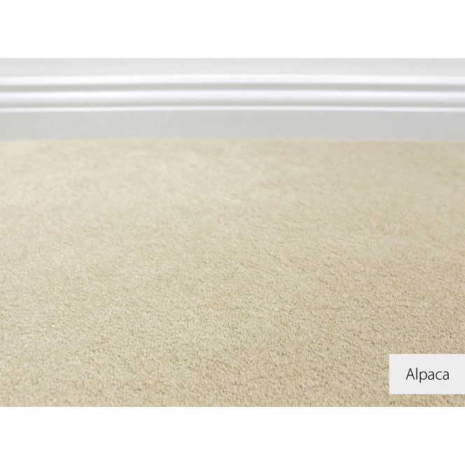 Emily Velours Teppichboden | Meterware | Alpaca