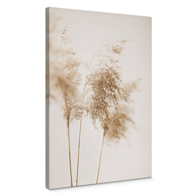 Leinwandbild 1X Studio - Sommergräser