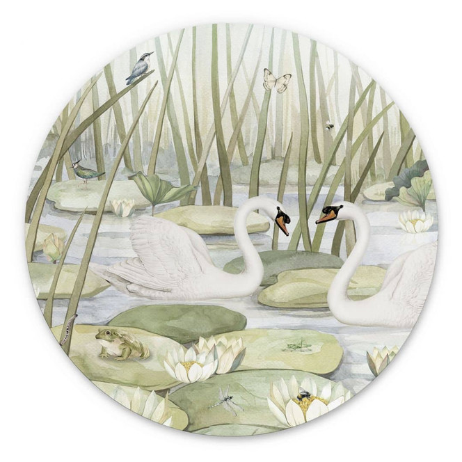 Wandbild Zwei Schwäne im Teich - Kikki Belle - Alu-Dibond - Rund