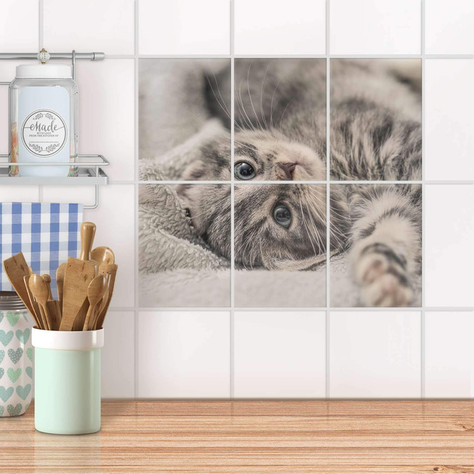 Fliesenaufkleber hoch - Kitty the Cat - 6er Set