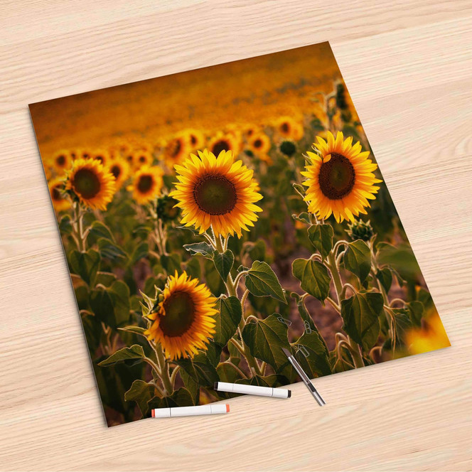 Folienbogen (60x60cm) - Sunflowers- Bild 1