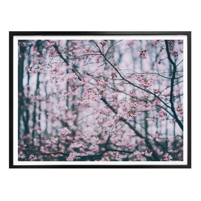 Poster Pink Flower Dream 03