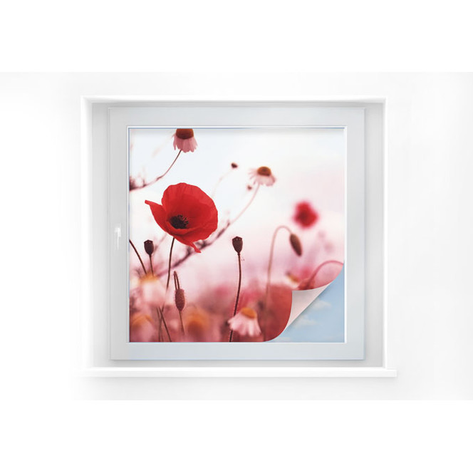Sichtschutzfolie Mohn Impressionen - quadratisch