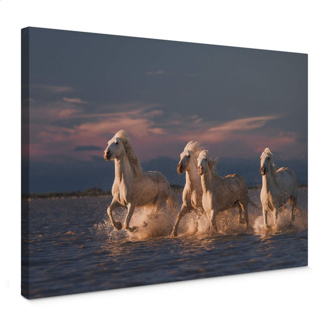 Leinwandbild Rostovskiy - Angels of Camargue