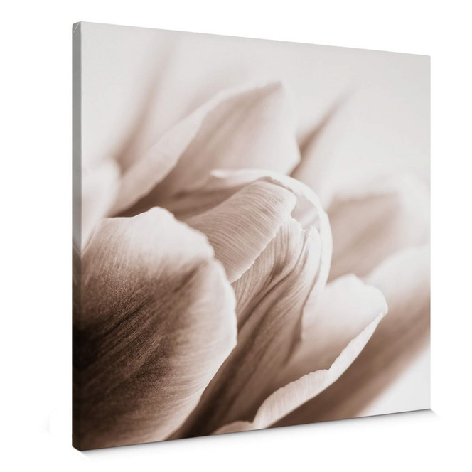 Leinwandbild Tulpe im Detail - quadratisch