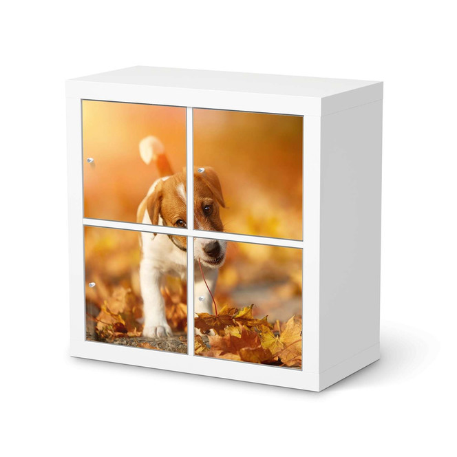 Möbelfolie IKEA Expedit Regal 4 Türen - Jack the Puppy- Bild 1