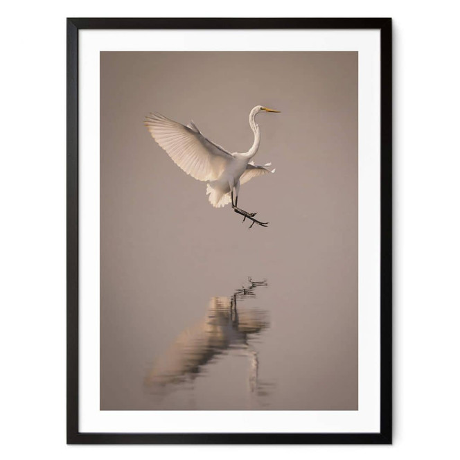 Poster Lai - Vogel-Landung auf dem Wasser