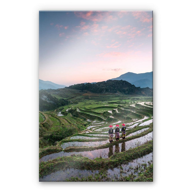 Acrylglasbild Colombo - Reisterrassen in Vietnam