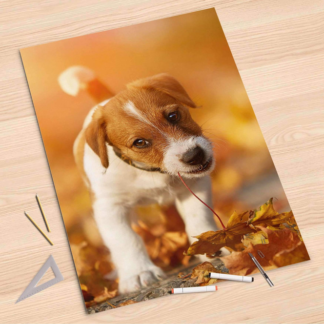 Folienbogen (80x120cm) - Jack the Puppy- Bild 1