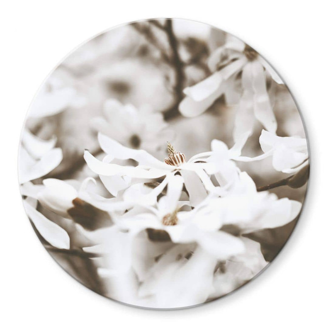Glasbild Annie - Jasmin - Rund
