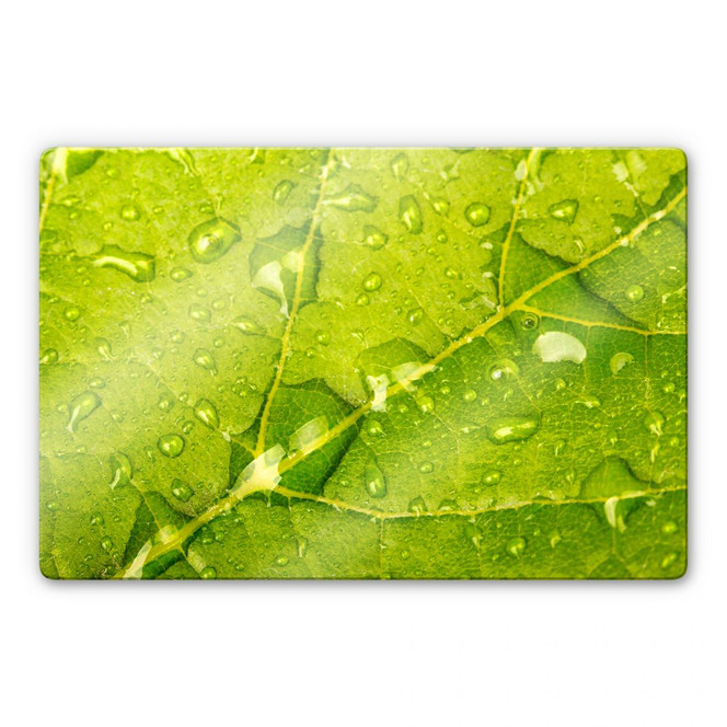 Glasbild Wasserperlen