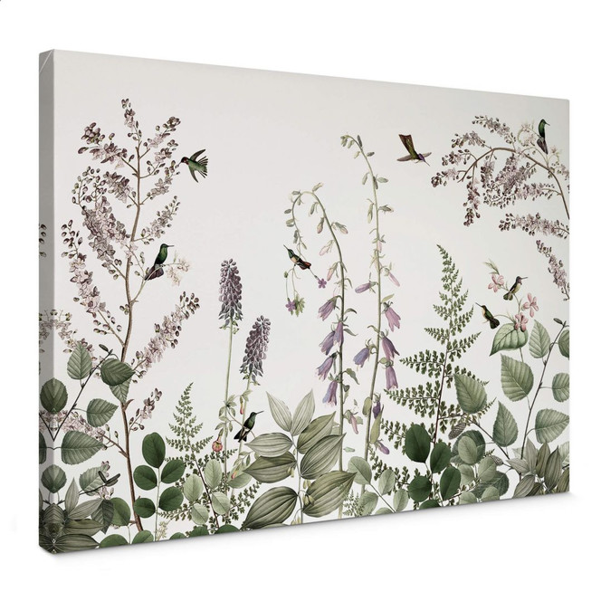 Leinwandbild Sir Edward - Kolibris im Garten