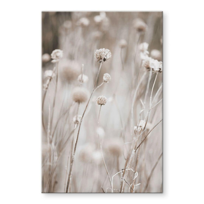 Acrylglasbild Getrocknete Blüten in sanften Tönen - Annie