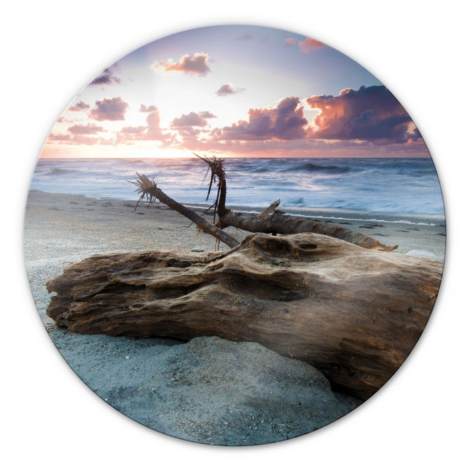 Glasbild Old Tree Trunk - rund