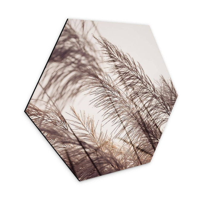 Hexagon - Alu-Dibond Gräser in Pastell