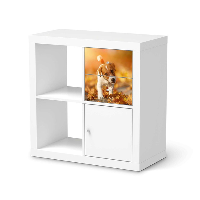 Möbelfolie IKEA Kallax Regal Schubladen - Jack the Puppy- Bild 1