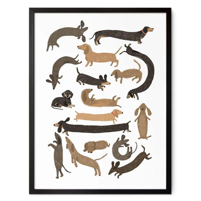 Poster Verspielte Dackel - Hunde Illustration - Melin