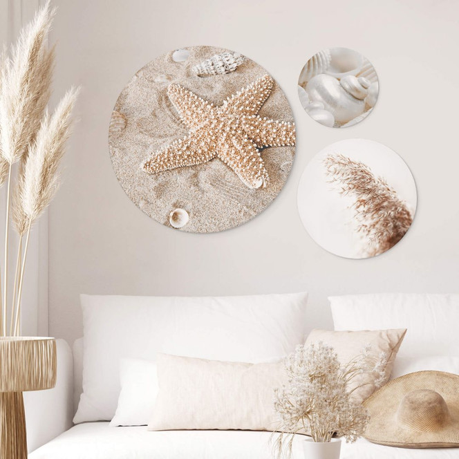 Wandbild Muscheln und Seestern am Strand Set (3-teilig) - Alu-Dibond Rund