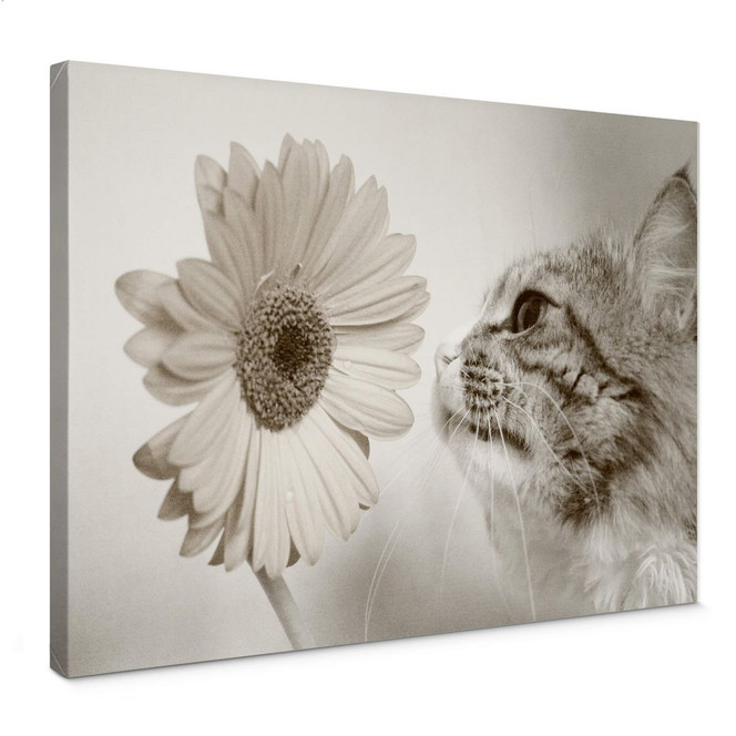 Leinwandbild Katzenneugier