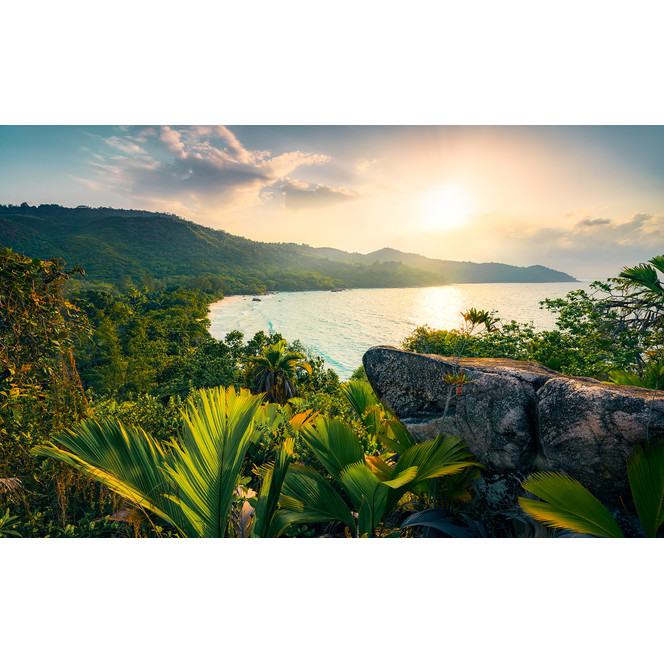 Fototapete Golden Air