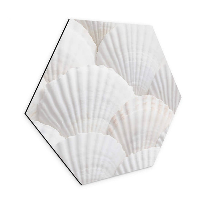 Hexagon - Alu-Dibond 1X Studio - Muschel Ensemble