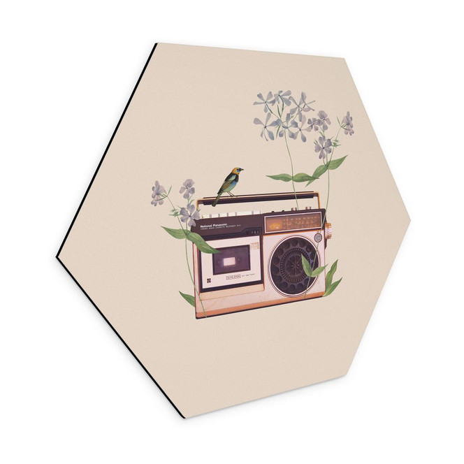 Hexagon-Wandbild Retro Radio floral - Frida Floral Studio - Alu-Dibond