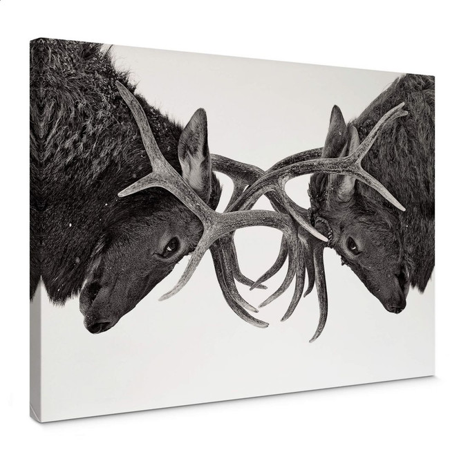 Leinwandbild Cumming - Machtkampf