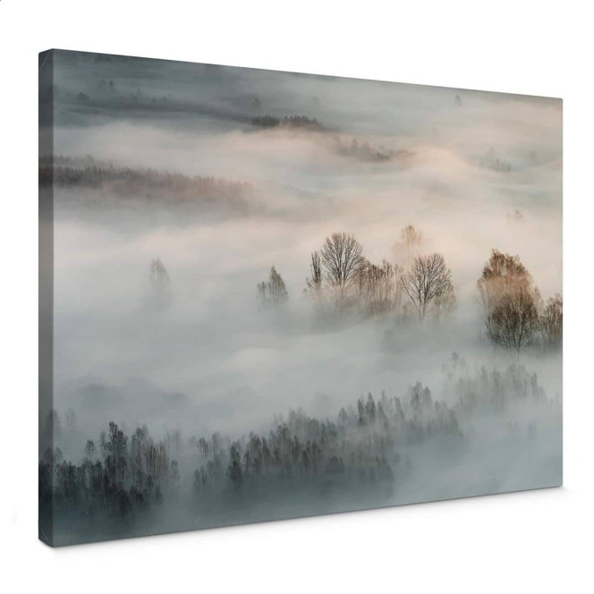 Leinwandbild Galimberti - Winternebel