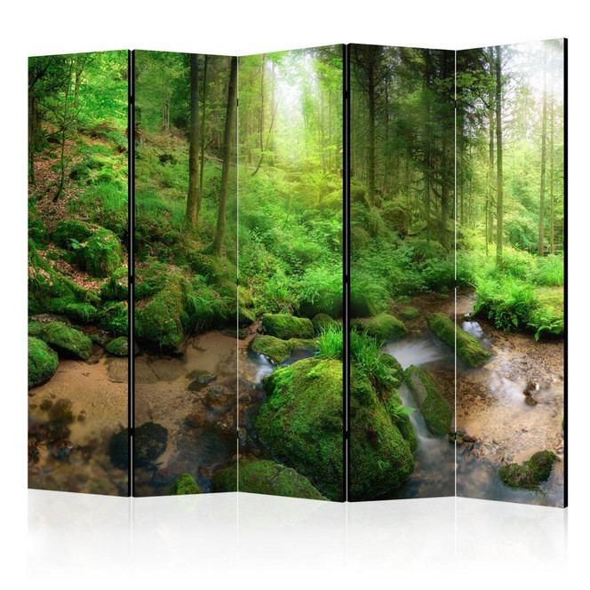 Paravent, Raumteiler freistehend, Trennwand - Feuchter Wald , 5-teilig - 225 x 172 cm
