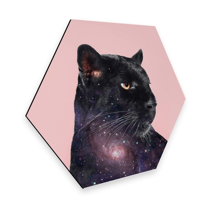 Hexagon - Alu-Dibond Loose – Galaxy Panther