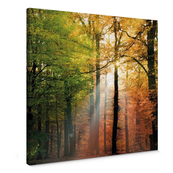 Leinwandbild Goldener Herbst